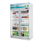 Le refroidisseur/boissons en verre d'affichage de boisson de congélateur de porte d'étagères réglables montrent le réfrigérateur