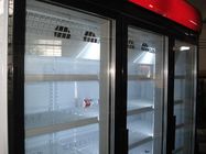 Le réfrigérateur en verre R404a de porte, congélateur de porte 3 en verre automatique dégivrent