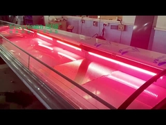 CE ROHS Commercial Display Freezer  ,  Supermarket Curved Glass Door Refrigerator