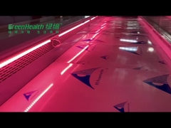 Acier inoxydable de congélateur d'affichage de viande fraîche de supermarché pour le restaurant