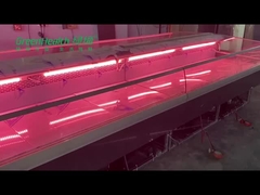 Réfrigérateur frais de viande d'épicerie de poissons d'acier inoxydable pour le boucher Shop