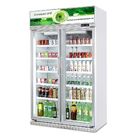 Le réfrigérateur droit commercial d'affichage de boisson pour le froid boit/viande 540W