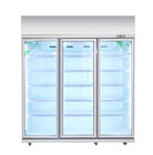 Le réfrigérateur droit commercial d'affichage de boisson pour le froid boit/viande 540W