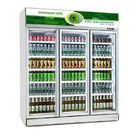 Réfrigérateurs et congélateurs commerciaux professionnels Cogelador d'affichage de Cabinet plus frais commercial de vente