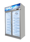5 réfrigérateur droit commercial de congélateur vertical d'affichage de l'étagère réglable R134