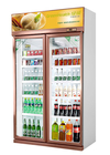 Réfrigérateur commercial droit de boissons de boisson avec la double porte en verre