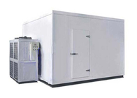 Grand taille adaptée aux besoins du client d'entreposage au froid de réfrigérateur de chambre froide de taille par entrepôt pour les aliments surgelés