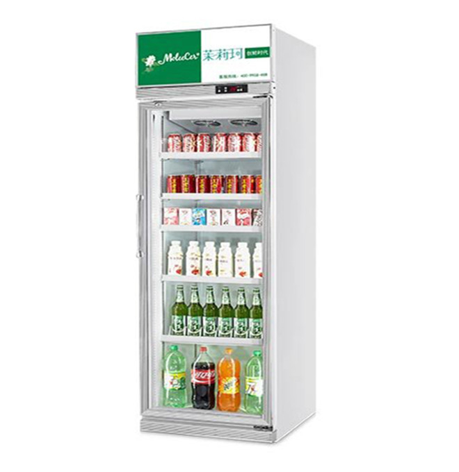 457L mini refroidisseur d'affichage de porte en verre 1 porte congélateur d'affichage pour US Standard 17 Cu.Ft