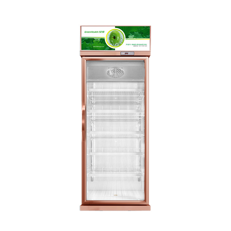 457L mini refroidisseur d'affichage de porte en verre 1 porte congélateur d'affichage pour US Standard 17 Cu.Ft
