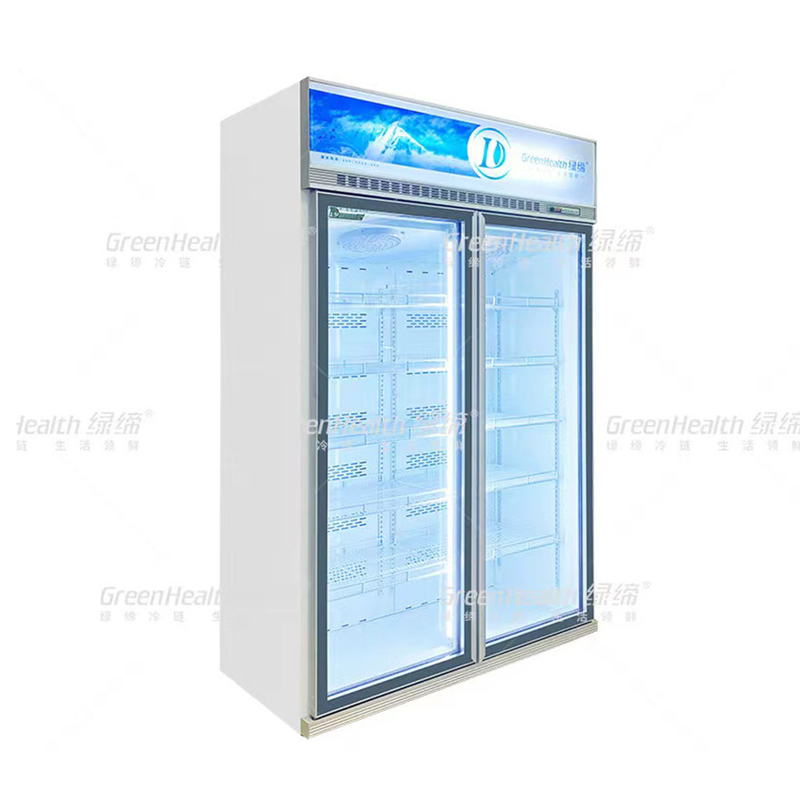 Congélateur à écran vertical à 2 portes avec ventilateur et LED