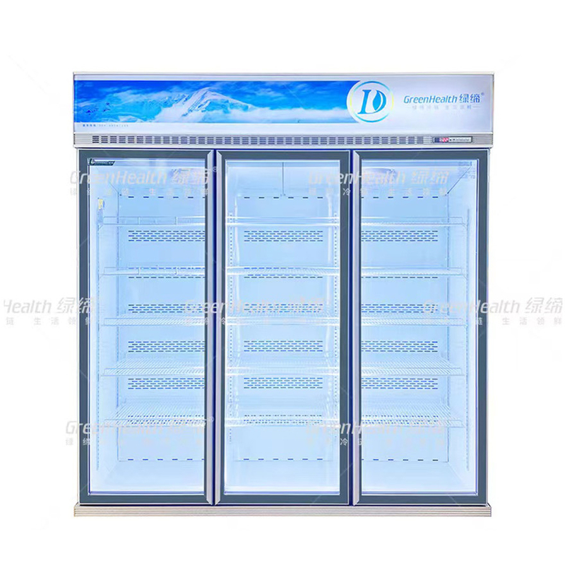Congélateur à écran vertical à 2 portes avec ventilateur et LED
