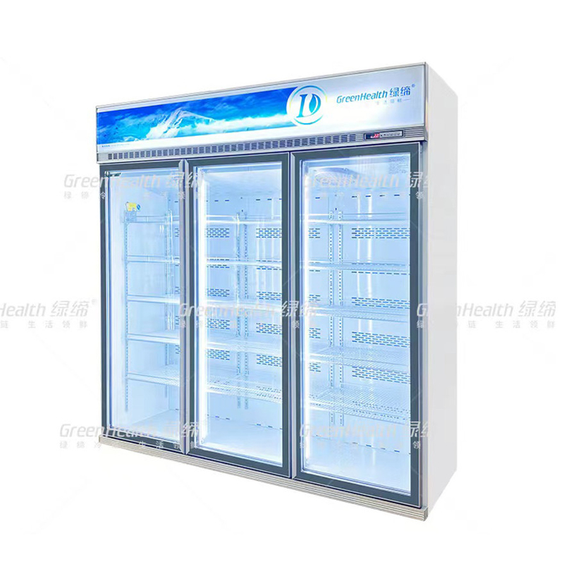 Congélateur à écran vertical à 2 portes avec ventilateur et LED