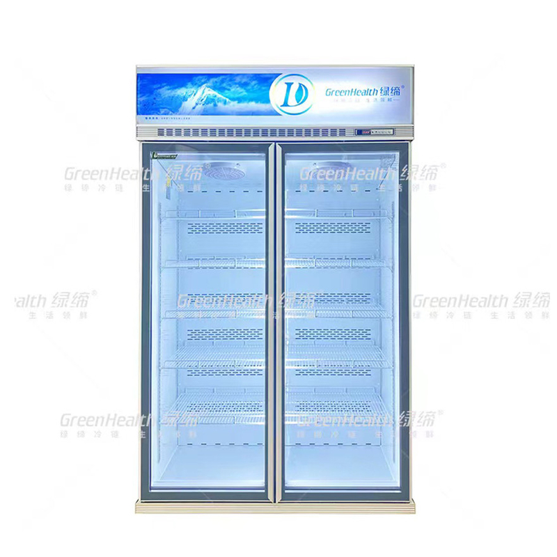 Congélateur à écran vertical à 2 portes avec ventilateur et LED