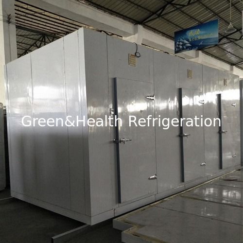Cooler et congélateur commerciaux avec dimensions personnalisables Isolation en polyuréthane à haute densité et compresseur Copeland