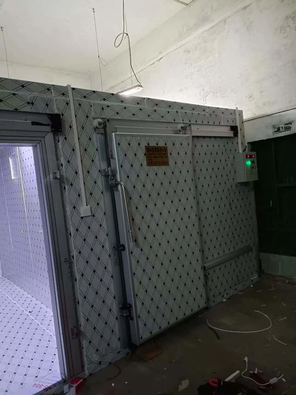 Salle de congélation personnalisée pour la congélation du poisson et de la viande avec système de contrôle automatique