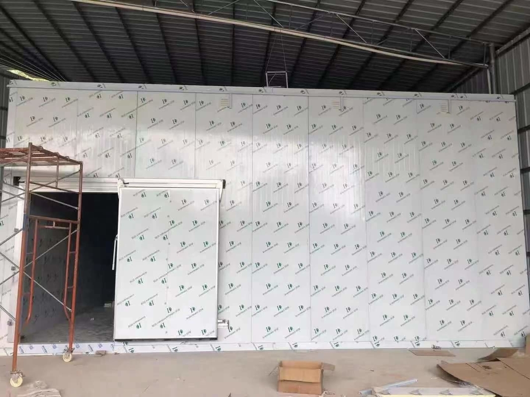 Panneaux en PU Salle de stockage à froid Congélateur modulaire Salles froides à différentes températures