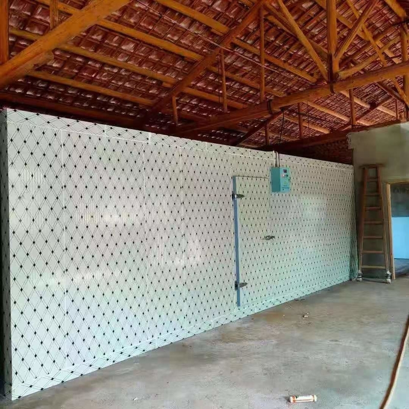 Panneaux en PU Salle de stockage à froid Congélateur modulaire Salles froides à différentes températures