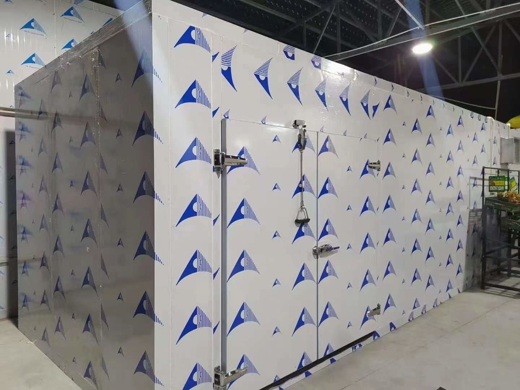 Panneaux en PU Salle de stockage à froid Congélateur modulaire Salles froides à différentes températures