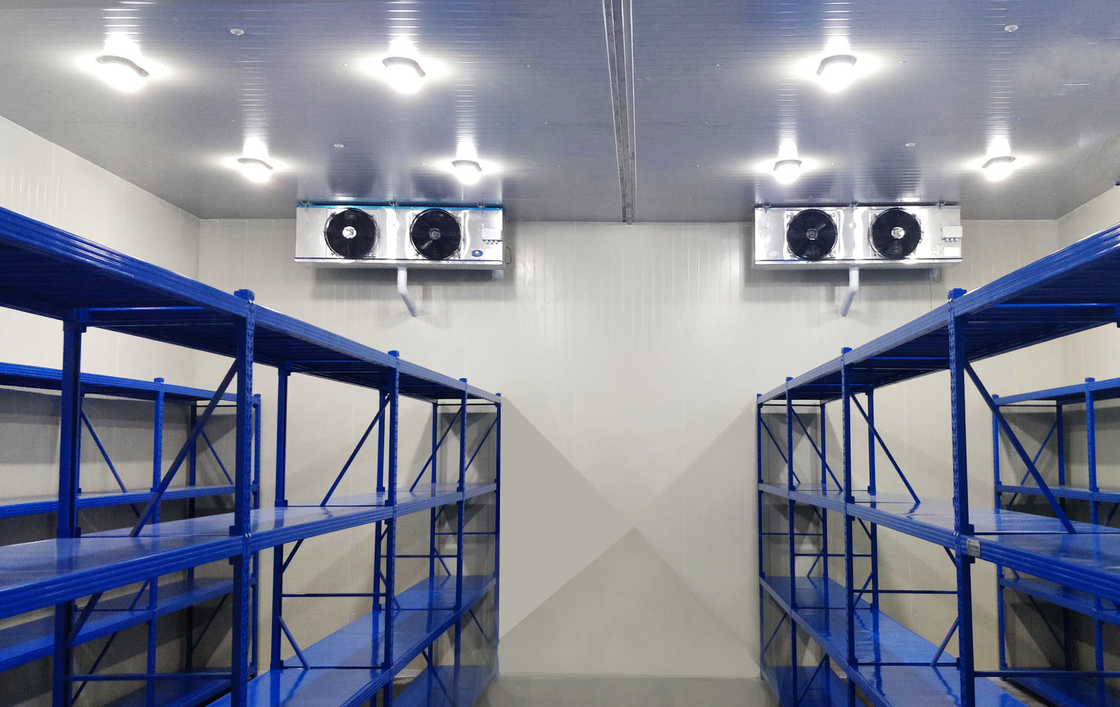 Panneaux en PU Salle de stockage à froid Congélateur modulaire Salles froides à différentes températures