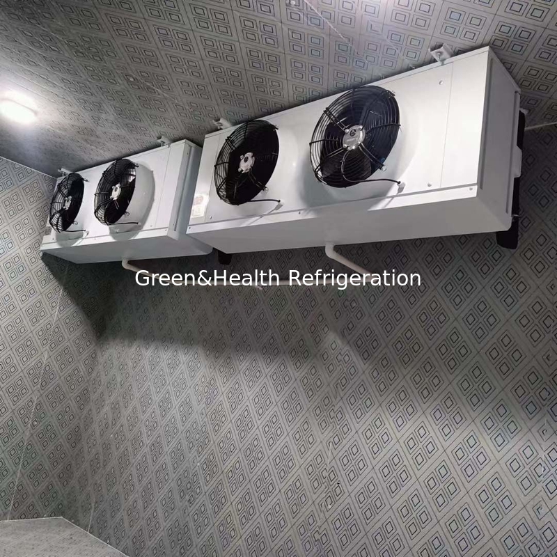 Une chambre froide personnalisée pour les fruits et légumes pour une fraîcheur optimale.
