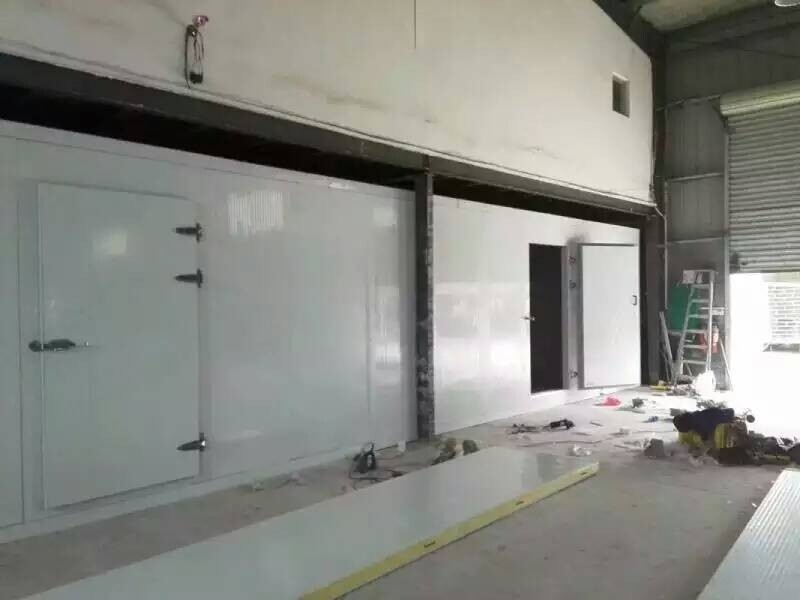 Panneaux sandwich polyuréthane PU haute performance pour les chambres de stockage froids