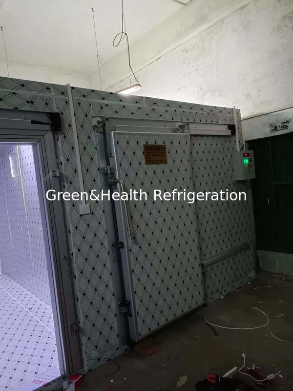 Solutions de stockage par chaîne de froid - basse fréquence de bruit - congélateur à entrée libre - congélateur de grande capacité