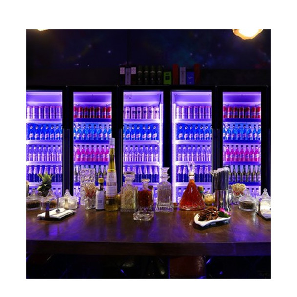 2/3 portes boissons aux couleurs variables boissons alcoolisées vitrines réfrigérées