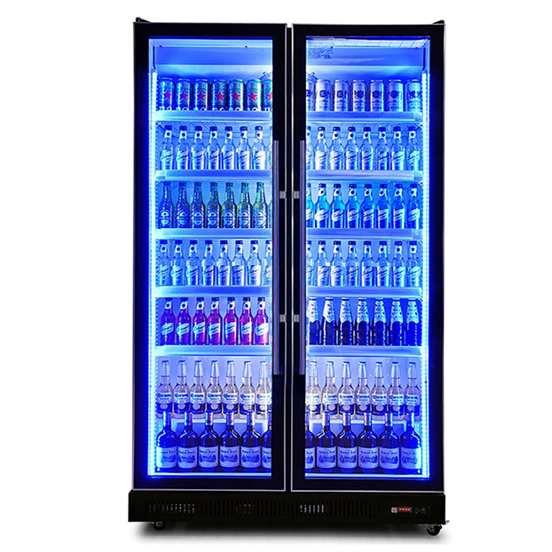 Réfrigérateur d'exposition pour boissons/alcools avec deux portes vitrées, éclairage LED multiple, usage commercial