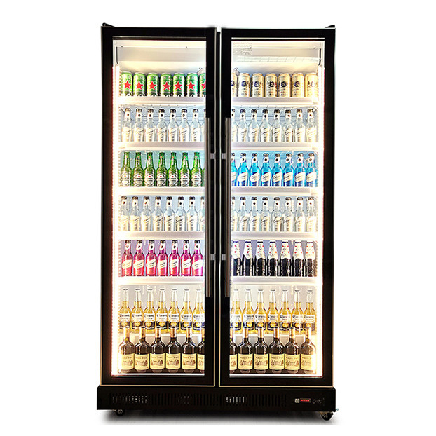 Réfrigérateur d'exposition pour boissons/alcools avec deux portes vitrées, éclairage LED multiple, usage commercial