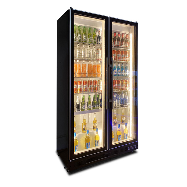 Réfrigérateur d'exposition pour boissons/alcools avec deux portes vitrées, éclairage LED multiple, usage commercial