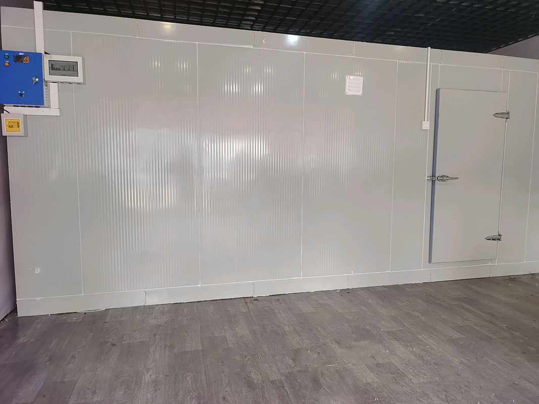 Chambre froide modulaire de stockage à basse température - Exigences de congélation Chambre froide avec une température de -18 à -22 °C