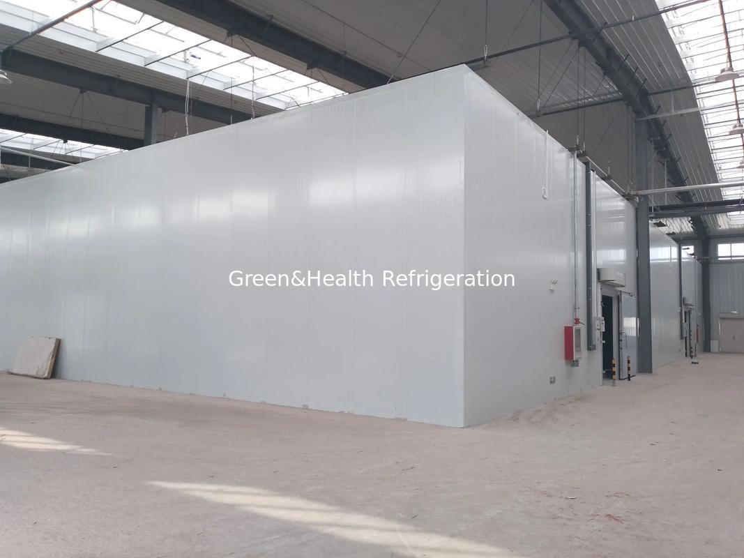 Conception modulaire marche dans la chambre Pu panneau de stockage à froid refroidisseur réfrigérateur entrepôt à vendre