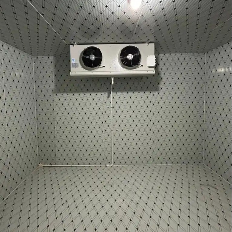 Chambre froide modulaire de stockage à basse température - Exigences de congélation Chambre froide avec une température de -18 à -22 °C