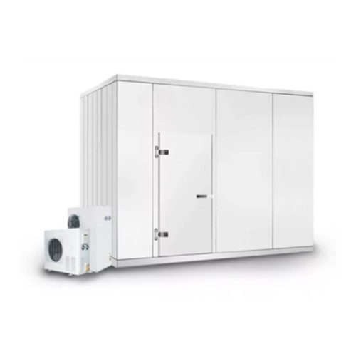 Résolutions de stockage alimentaire Salle de stockage à froid Congélateur commercial avec température personnalisée