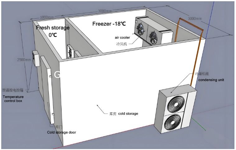Chambre froide de stockage commerciale de Guangzhou pour fruits et légumes