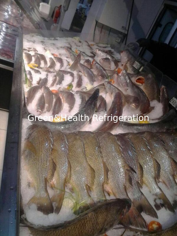 poissons d'étalage de poissons congelés par affichage de poissons de 2m contre pour l'affichage de supermarché