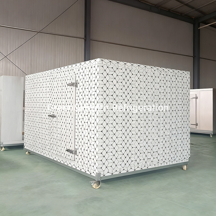 Unité de chambre froide personnalisée de Guangzhou pour la congélation et le stockage de viande de boucherie