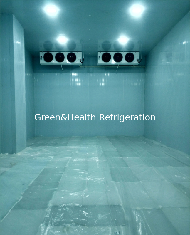 Chambre froide personnalisable disponible en différentes tailles et plages de température pour vos besoins individuels