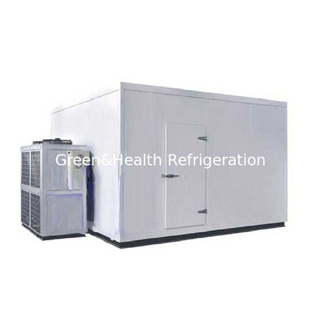 Supermarché à grande échelle commerciale pour le stockage de produits alimentaires en chambre froide de stockage congelée