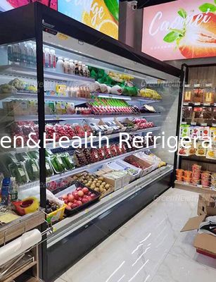 Grand réfrigérateur ouvert debout d'équipement de réfrigération avec les plate-formes multi
