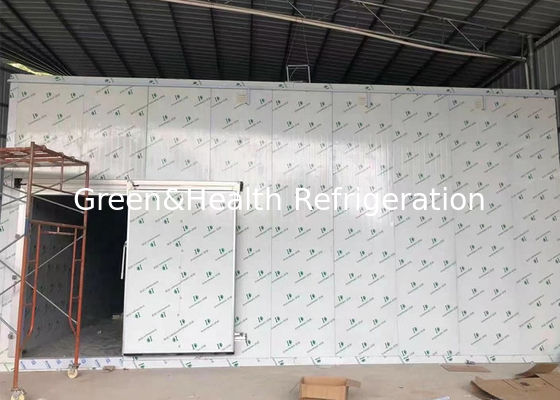 L'unité centrale de serrure de came lambrisse la promenade dans le congélateur de chambre froide pour la salle d'entreposage modulaire de boeuf de poulet