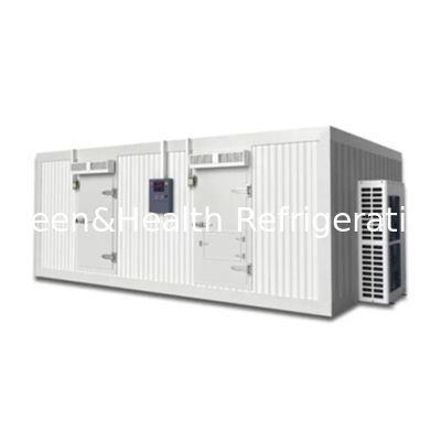 Chambre de stockage à froid personnalisable pour le congélateur de bœuf et de viande