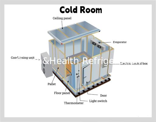 Panneau en PU Produits alimentaires Réservoir froid Restaurant Cuisine commerciale Walk In Freezer