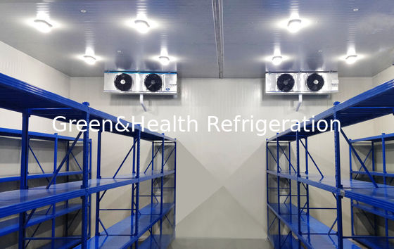 Chambre froide réfrigérateur salle de stockage alimentaire avec panneau en PU