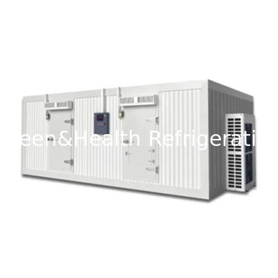 Congélateur personnalisable pour chambre froide avec panneaux isolants durables