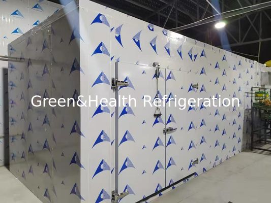 Chambre froide économe en énergie avec panneaux en PU hautes performances