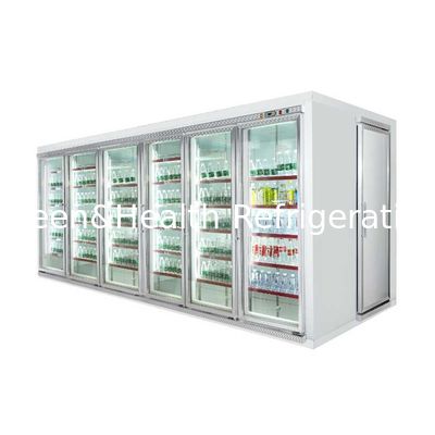 Réfrigérateur en verre réfrigéré/promenade d'affichage de porte dans le congélateur à air forcé avec le présentoir pour la viande et le légume
