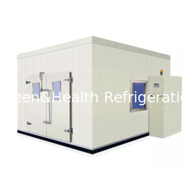 Compresseur système de refroidissement salle de stockage à froid marche dans congélateur avec panneau de sol