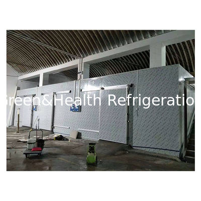 Grand supermarché commercial entreposage frigorifique de fruits/légumes surgelés et réfrigérés