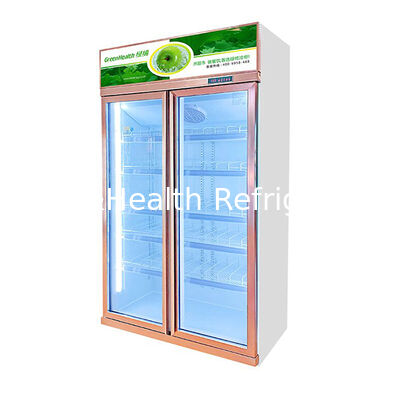 Unité verticale ascendante avec deux portes en verre antibuée, congélateur d'exposition pour boissons réfrigérées